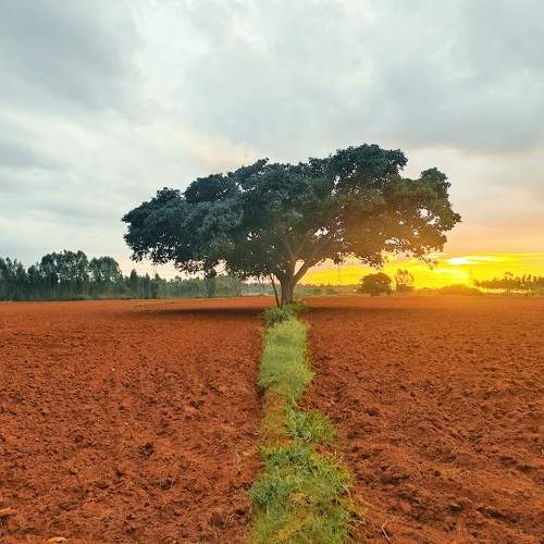 Photo #10642438