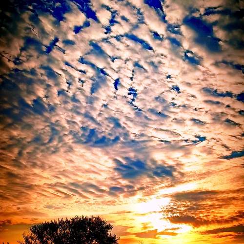 Photo #10642460