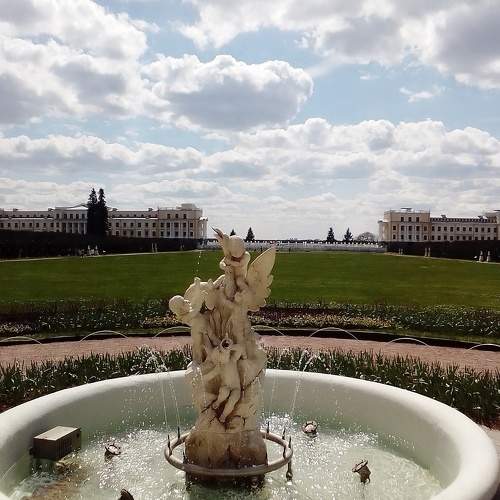 Photo #10642533