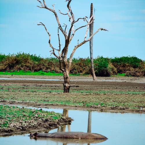 Photo #10642597