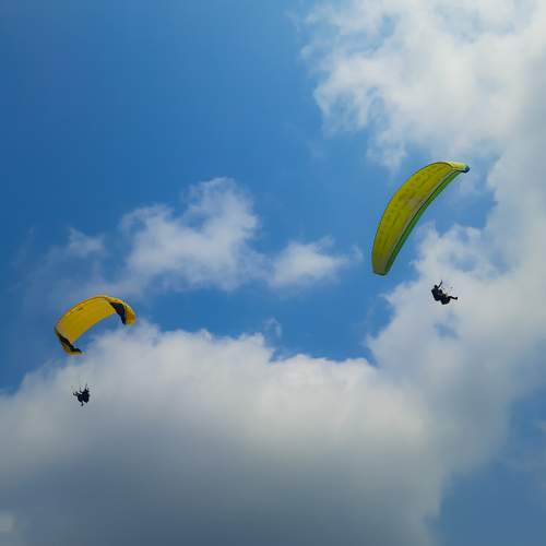 Photo #10643143