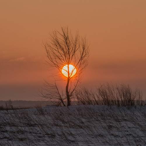 Photo #10643200