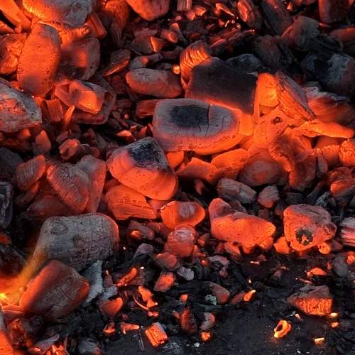Photo #10643384