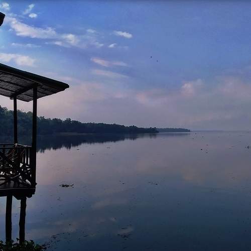 Photo #10643520