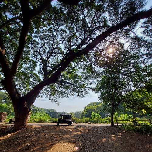 Photo #10643537