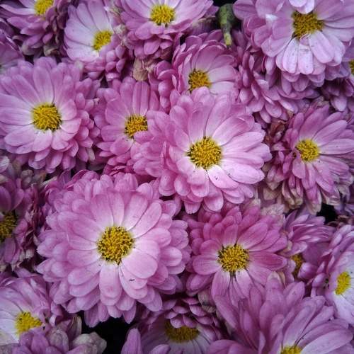 Photo #10643540