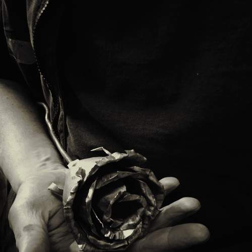 Steel rose