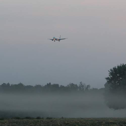 Photo #10643577