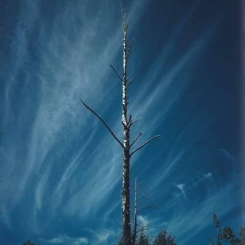 Photo #10643582