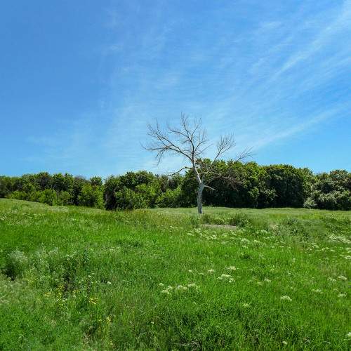 Photo #10643709