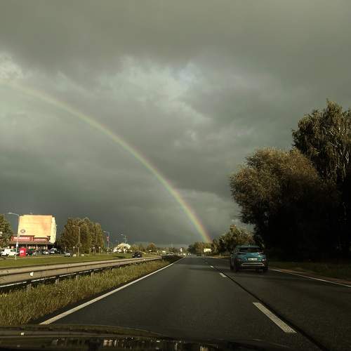 Photo #10643739