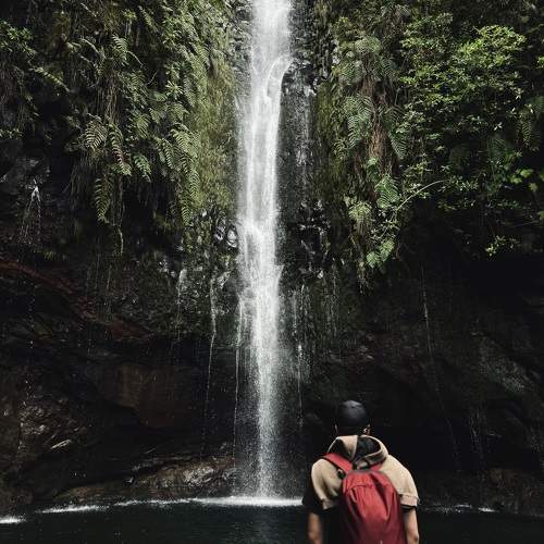 Photo #10643740