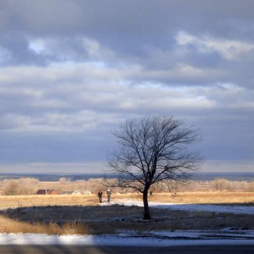 Photo #10643927