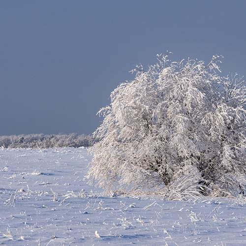Photo #10643946