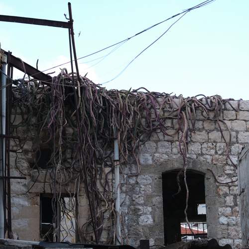 Photo #10644094