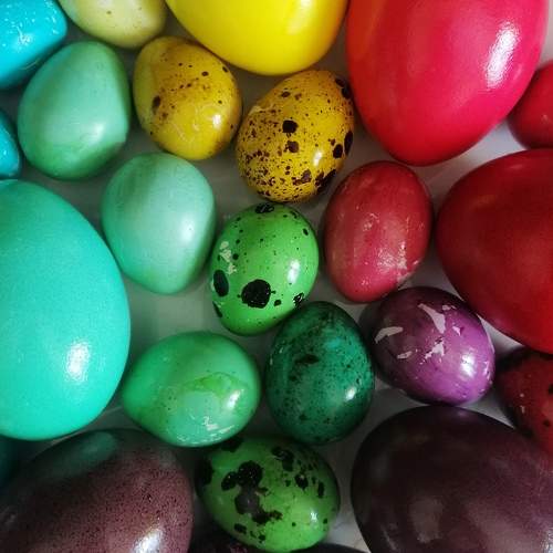 Photo #10644112