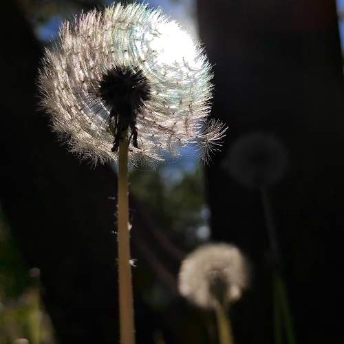 Photo #10644646