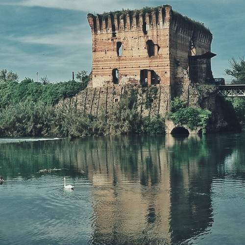Photo #10644705