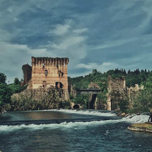 Photo #10644706