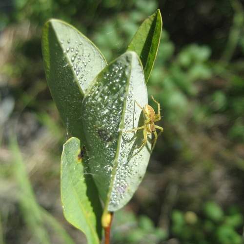 Photo #10644726