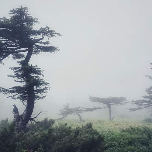 Photo #10644769