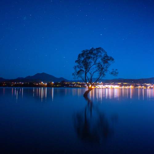 Lonely night