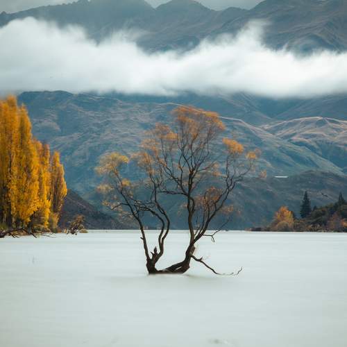 Photo #10644959