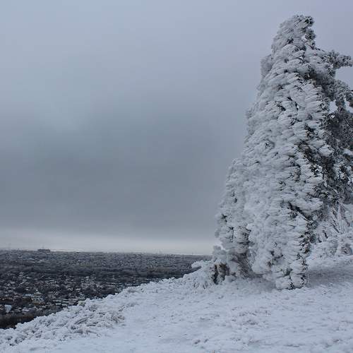Photo #10645059