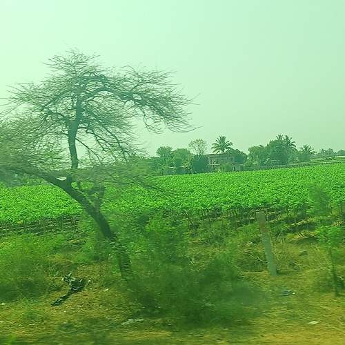 Photo #10645087