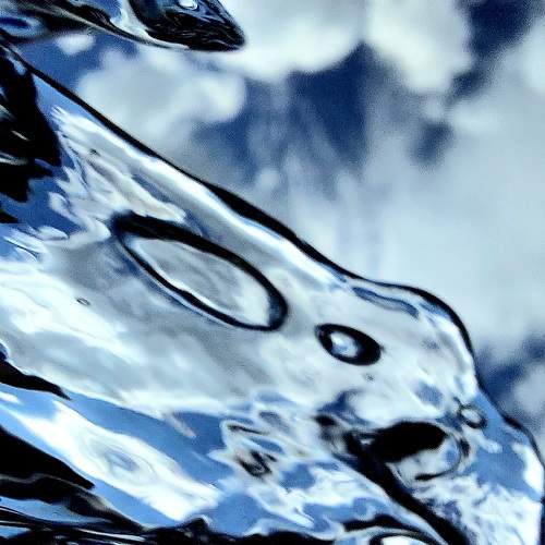 Photo #10645271