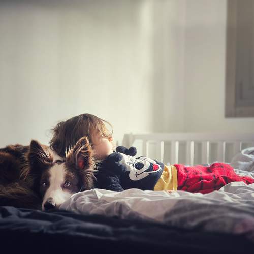 Photo #10645672
