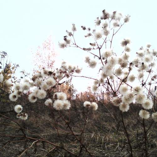 Photo #10645800