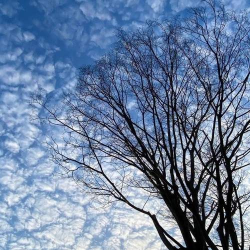 Photo #10645806