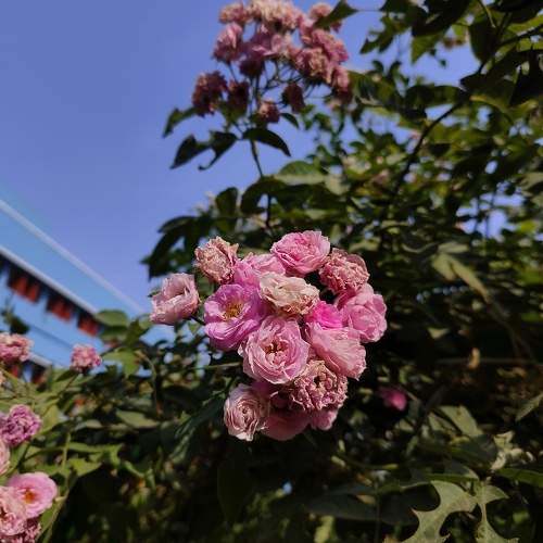 Photo #10645860