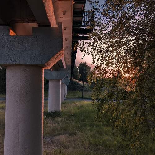 Photo #10646414