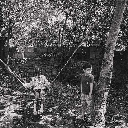 Photo #10646501