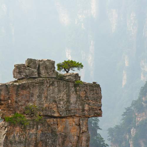 Photo #10646506