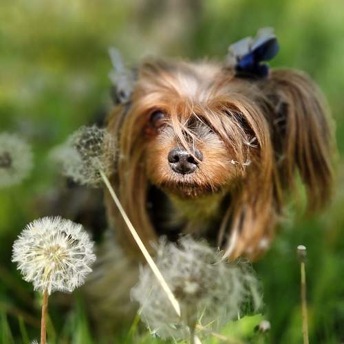 Photo #10646647