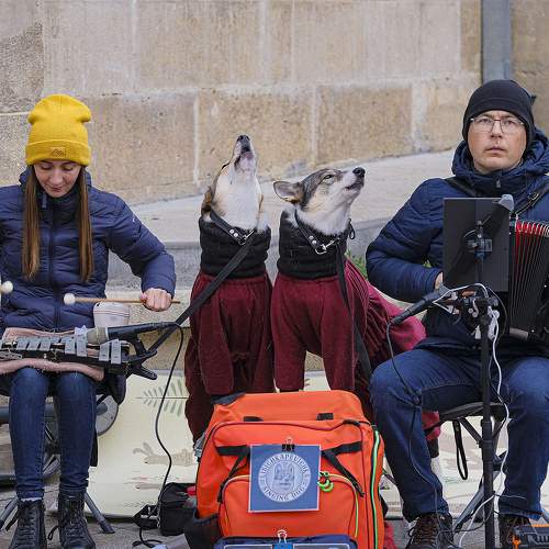 Photo #10646691