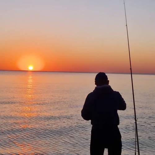 Photo #10646719