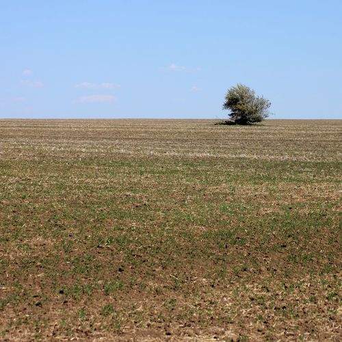 Photo #10646843