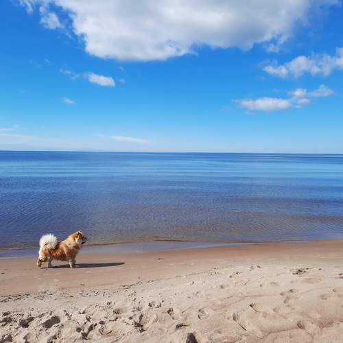 Photo #10647089