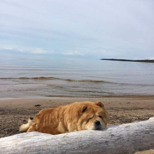 Photo #10647091