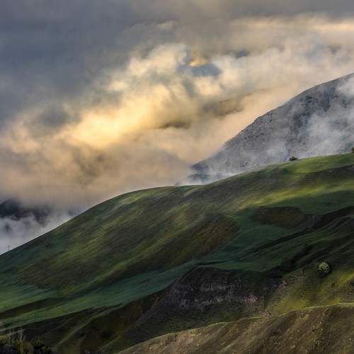 Photo #10647110