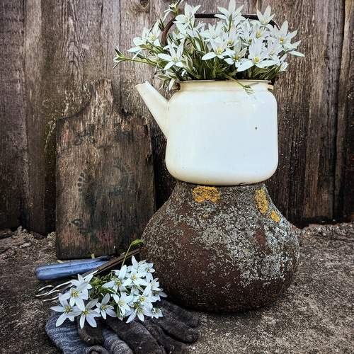 Photo #10647270