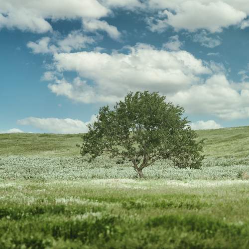 Photo #10647485