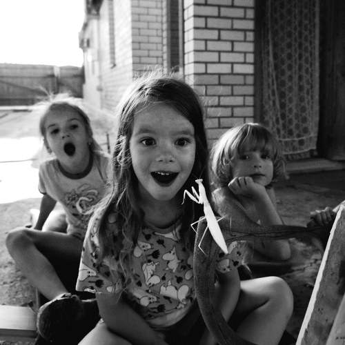 Photo #10647612