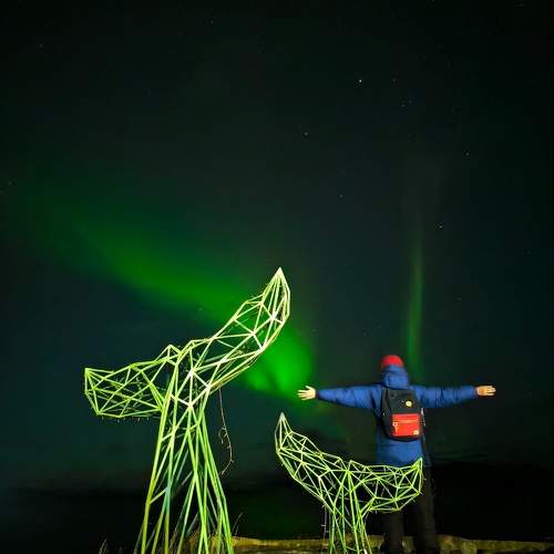 Photo #10647655