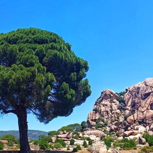 Photo #10647988