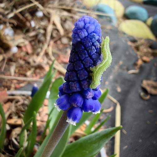Photo #10648066